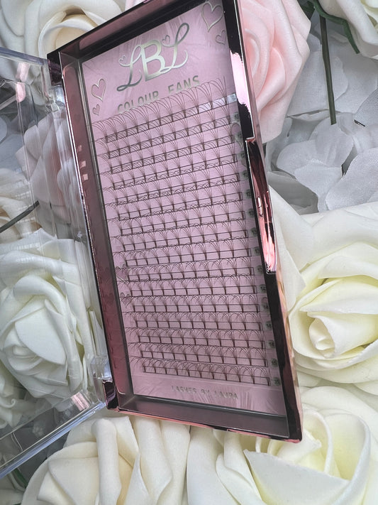 4D .007 Brown Coloured Pre Made Lashes